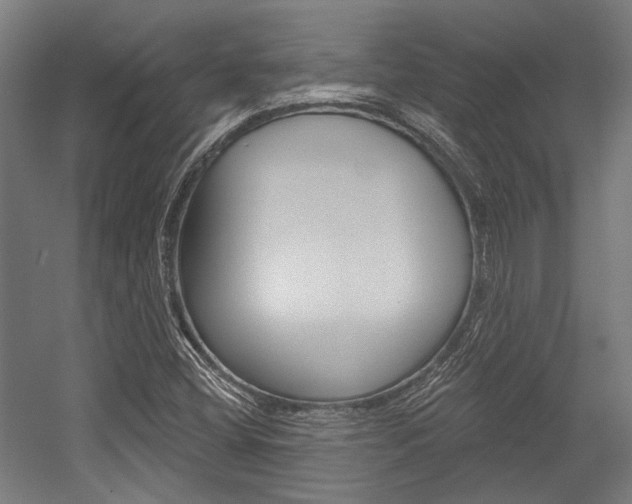 X0000054361404200507290753