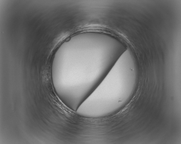 X0000054361405200507290753