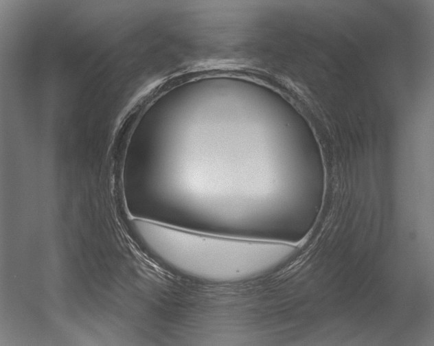 X0000054361406200507290753