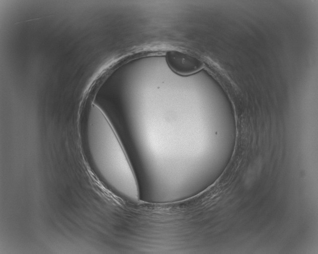 X0000054361408200507290753