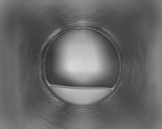 X0000054361410200507290753