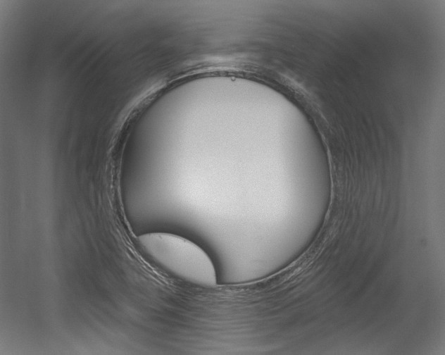 X0000054361411200507290753