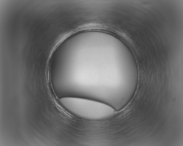 X0000054361413200507290753
