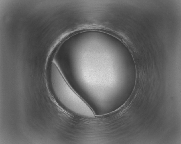 X0000054361414200507290753