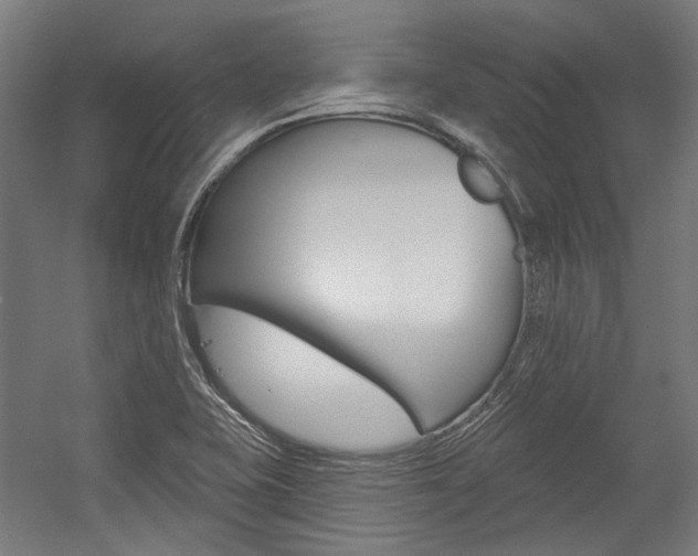 X0000054361415200507290753