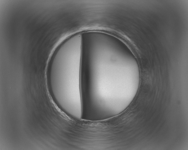 X0000054361416200507290753