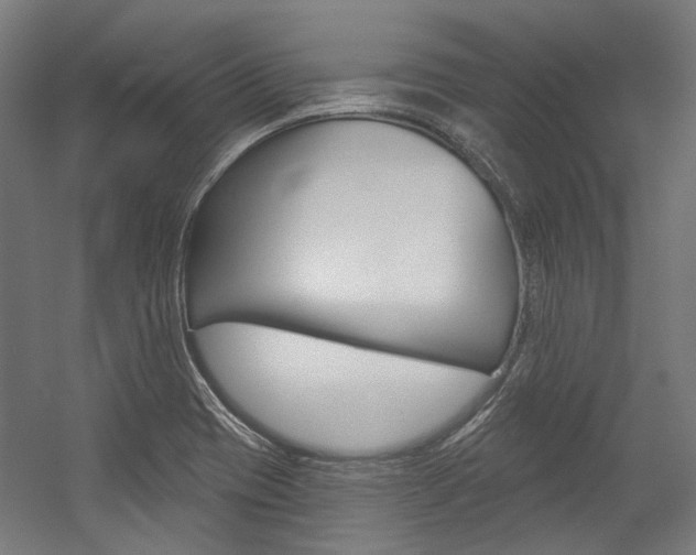 X0000054361417200507290753