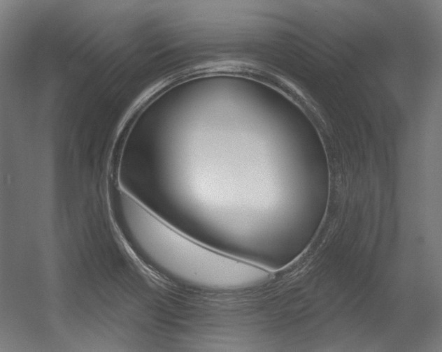 X0000054361418200507290753