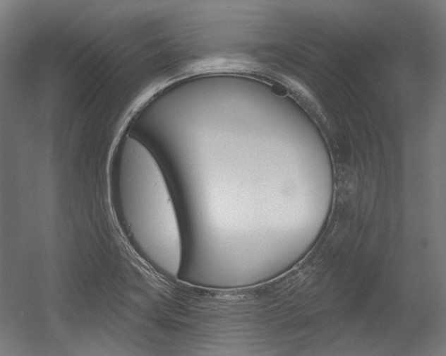 X0000054361419200507290753