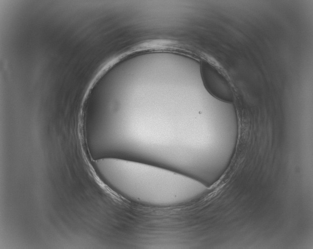 X0000054361421200507290753