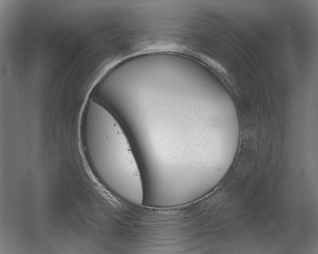 X0000054361423200507290753