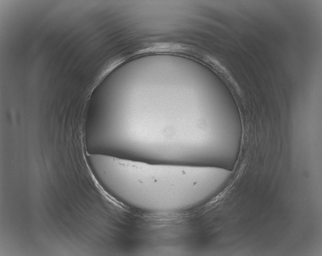 X0000054361425200507290753