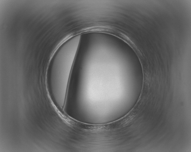 X0000054361426200507290753