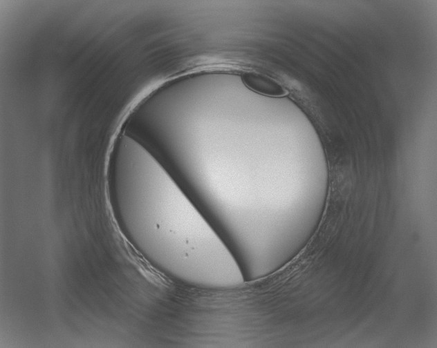 X0000054361427200507290753