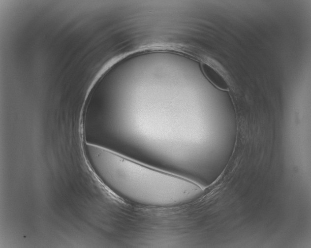 X0000054361428200507290753
