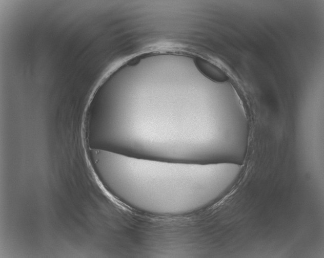 X0000054361429200507290753