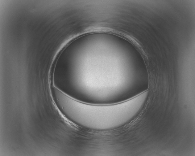 X0000054361430200507290753