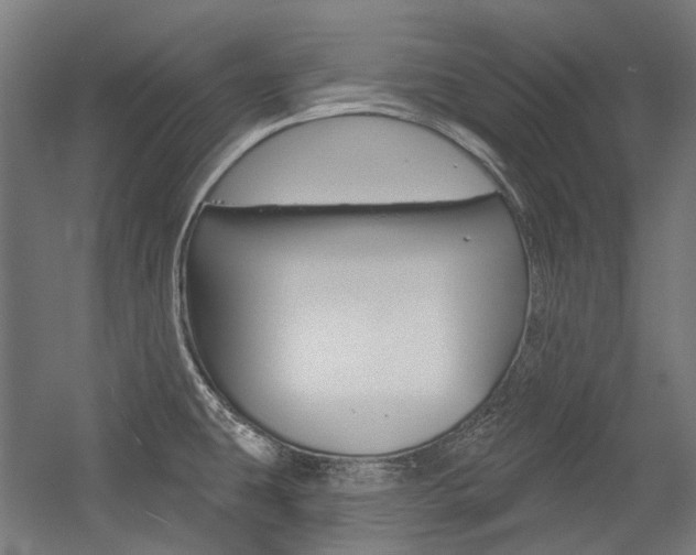 X0000054361431200507290753