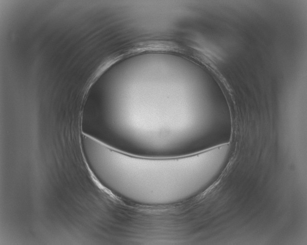X0000054361433200507290753