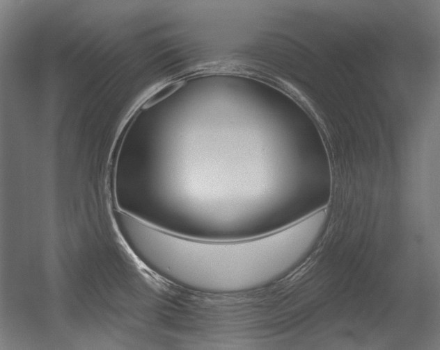 X0000054361434200507290753