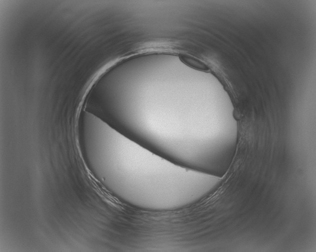 X0000054361435200507290753
