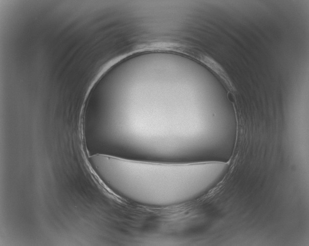 X0000054361436200507290753