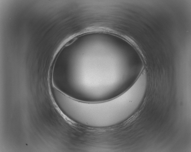 X0000054361438200507290753
