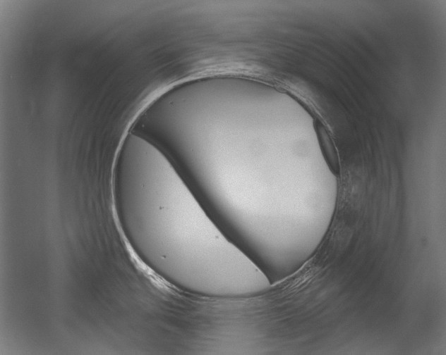 X0000054361439200507290753