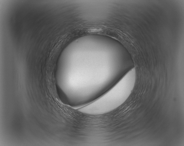 X0000054361441200507290752