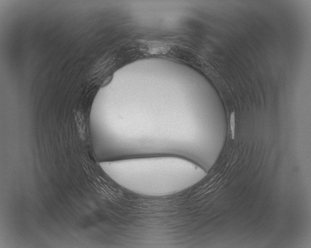 X0000054361443200507290752