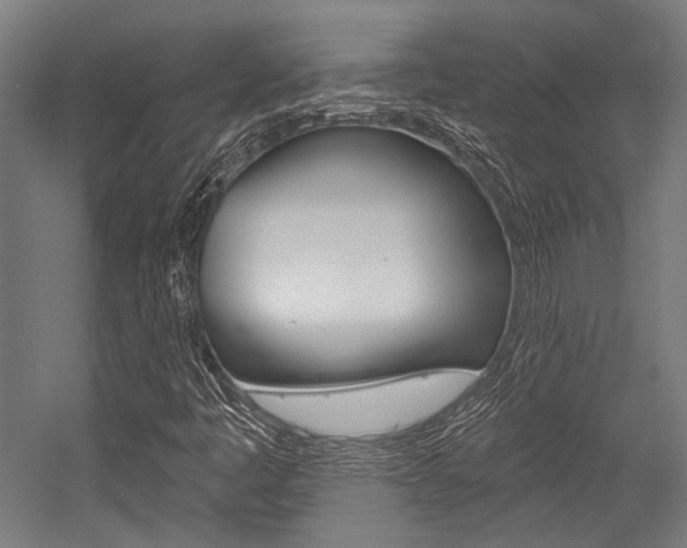 X0000054361445200507290752