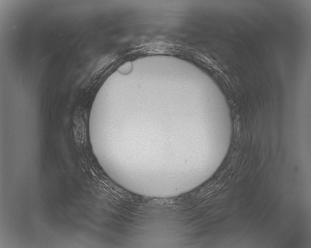 X0000054361446200507290752