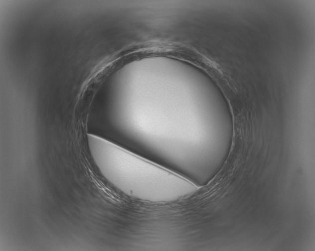 X0000054361448200507290752
