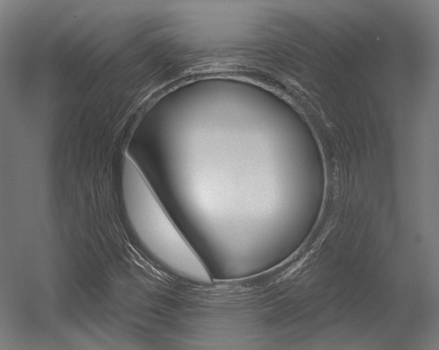 X0000054361449200507290752