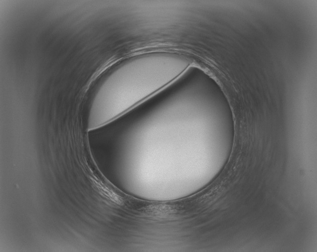 X0000054361450200507290752