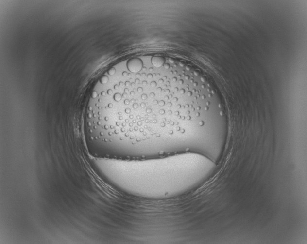 X0000054361451200507290752