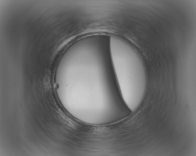 X0000054361452200507290752