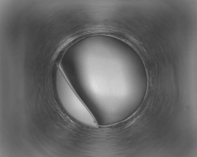 X0000054361453200507290752