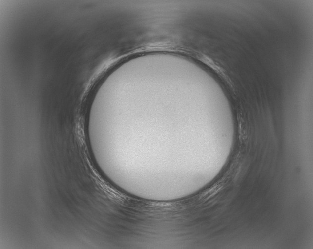 X0000054361454200507290752