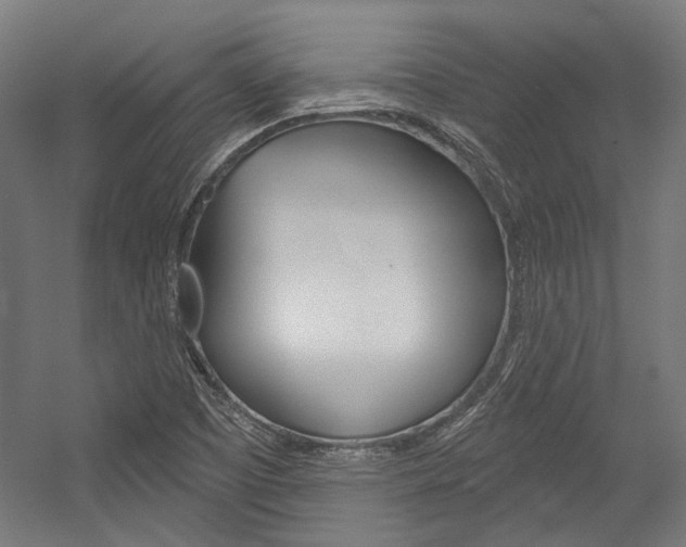 X0000054361457200507290752