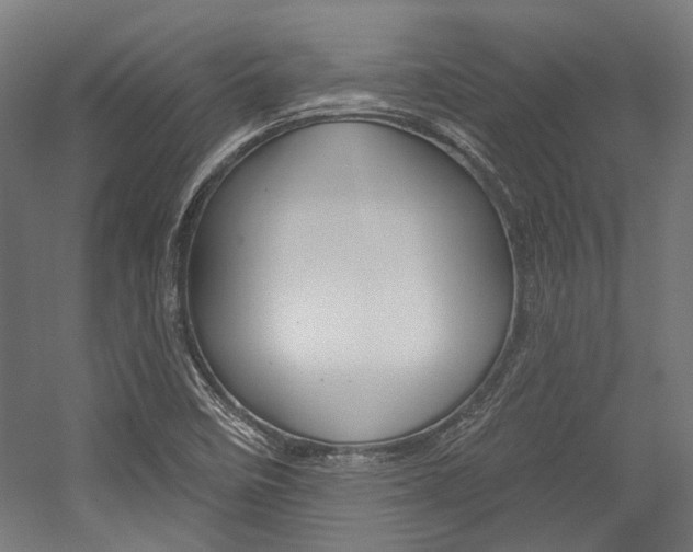 X0000054361458200507290752