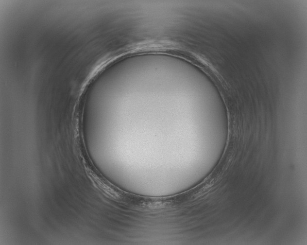 X0000054361459200507290752
