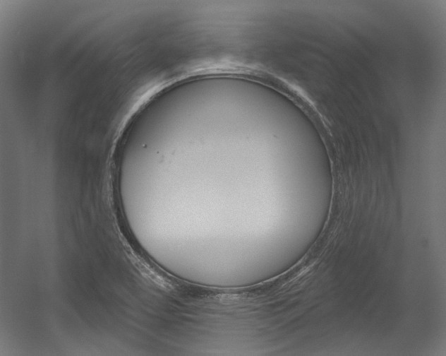 X0000054361463200507290752