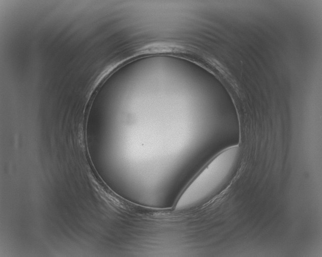 X0000054361465200507290752