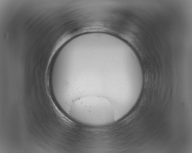 X0000054361466200507290752