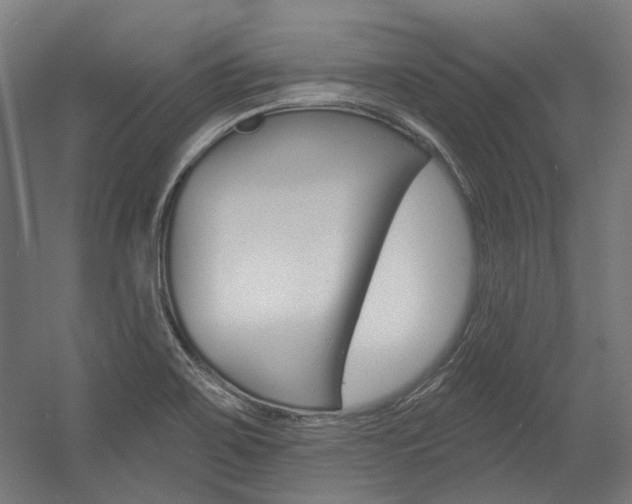 X0000054361467200507290752