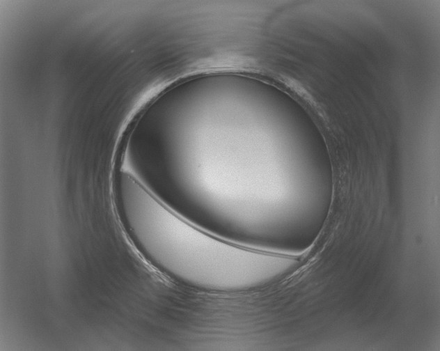 X0000054361469200507290752