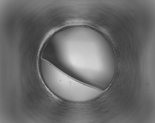 X0000054361472200507290752