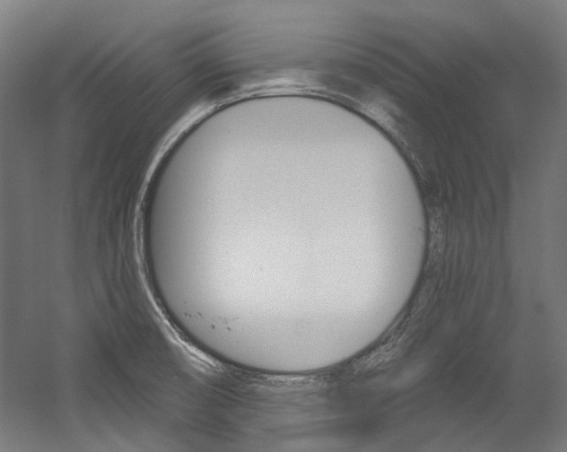 X0000054361474200507290752