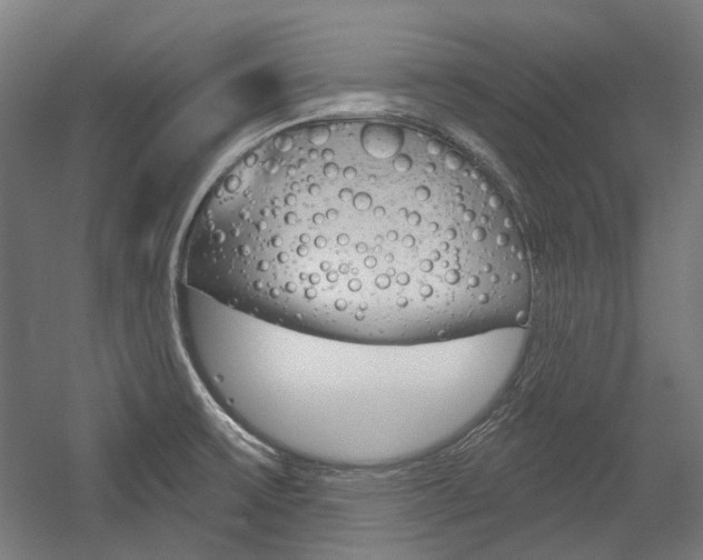 X0000054361475200507290752